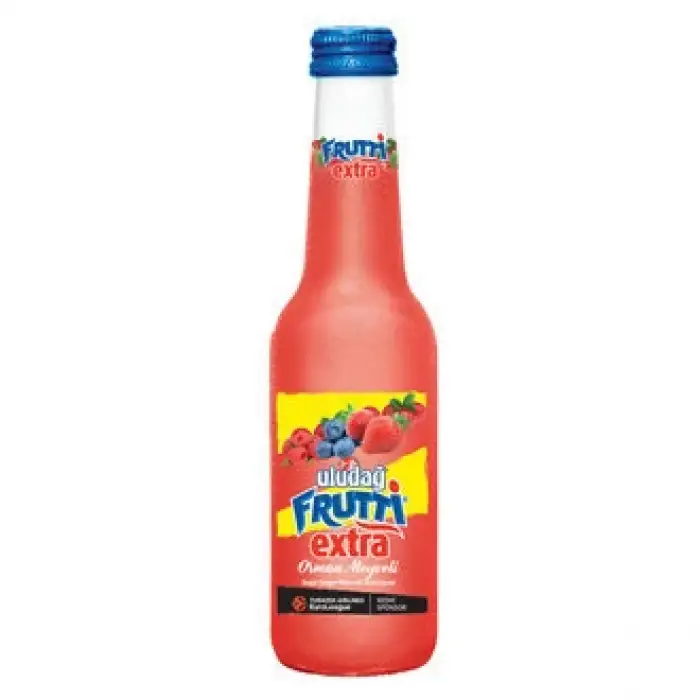 Uludağ Frutti Extra Orman Meyveli 250 Ml