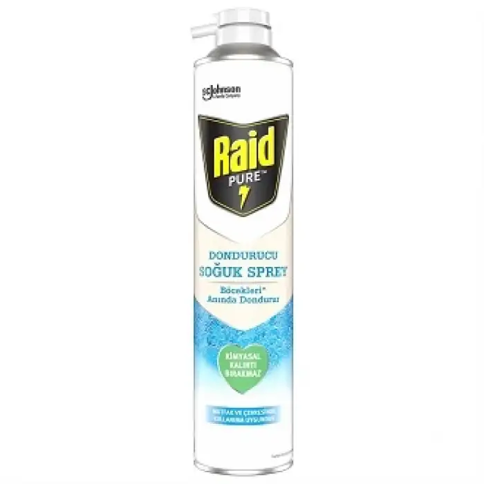 Raid Pure Böcek Dondurucu Sprey 300 ml
