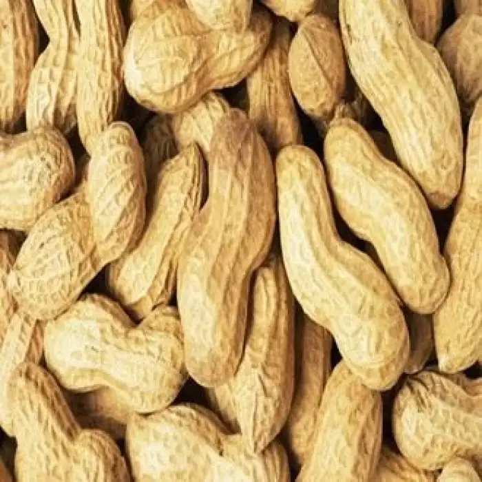 Yüksel Kabuklu Fıstık 300gr