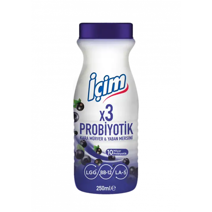 İçim Kefir Probiyotik Karamürver Yaban Mersini 250 Ml