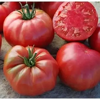 Domates Yıldız Kg