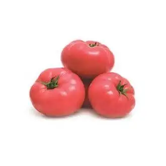 Domates Pembe Kg