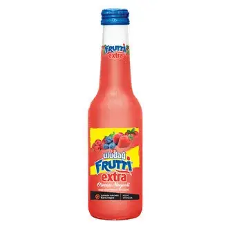 Uludağ Frutti Extra Orman Meyveli 250 Ml