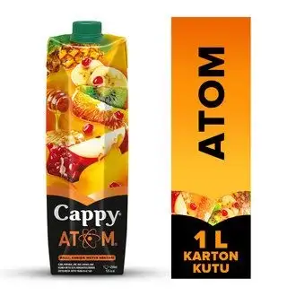 Cappy Atom Ballı Karışık Meyve Nektarı Karton Kutu 1 L