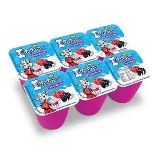 Sütaş Büyümix Orman Meyveli 6x40 Gr