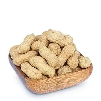 TUNAHAN KABUKLU FISTIK 500 G