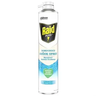 Raid Pure Böcek Dondurucu Sprey 300 ml