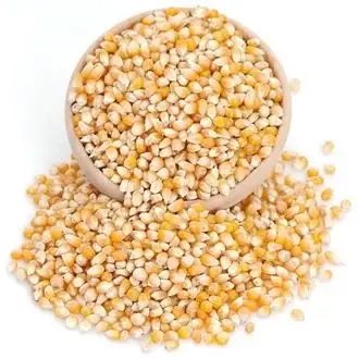 Sami Efendi Cin Mısır 500gr