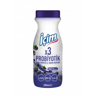 İçim Kefir Probiyotik Karamürver Yaban Mersini 250 Ml