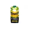 Cappy Ananaslı İçeçek 1 Lt Kutu