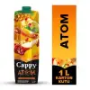 Cappy Atom Ballı Karışık Meyve Nektarı Karton Kutu 1 L