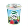 Sütaş Orman Meyveli Yoğurt 500 Gr