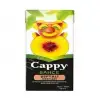 Cappy Bahçe Şeftali Nektari 200 Ml Kutu