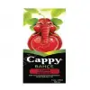 Cappy Bahçe Visne Nektarı 200 ml