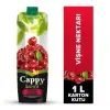 Cappy Bahçe Vişne Nektarı 1 Lt Kutu