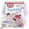 Dr.Oetker Yogotella Orman Meyveli 69 g