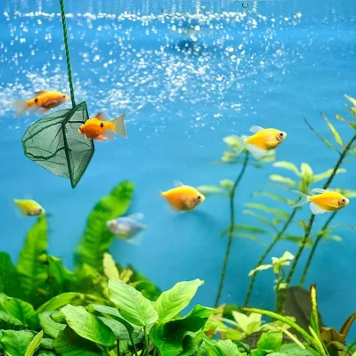 Akvaryum Balık Kepçesi