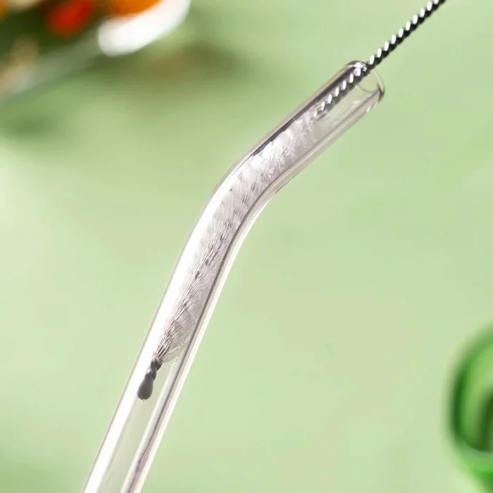 2 li Cam Pipet Ve Temizleme Fırçası