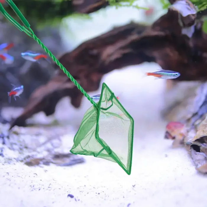 Akvaryum Balık Kepçesi