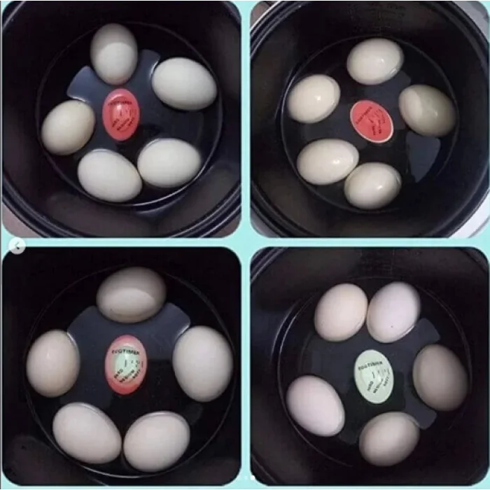 Dublör Yumurta Zamanlayıcı