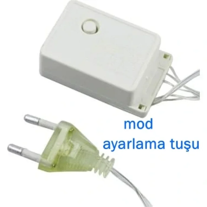 LED Light Renkli LED Işık 100 LED 4 Metre Pirinç LED Işık 220 V Fişli