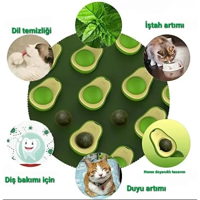 Yenilebilir Kedi Nanesi Otu Oyuncağı