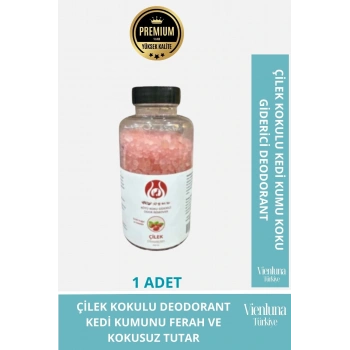 Özel Üretim Kedi Kumu Koku Giderici Çilek Aromalı Deodorant Epsom Tuzu 350 Gr