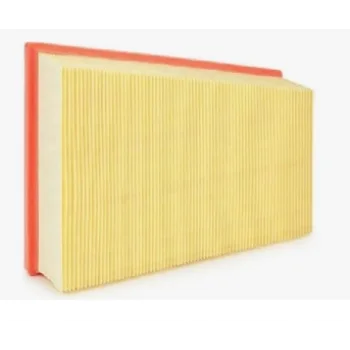 İthal Renault Kangoo Hava Filtresi 	8200166615