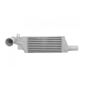 Opel Corsa C 1.3 Turbo Soğutucu İntercooler BSG 1300410