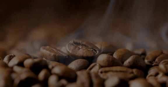 HAFİF KAVRULMUŞ KAHVE