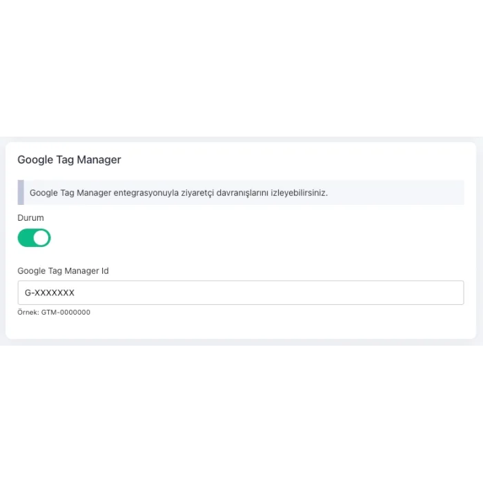 Google Tag Manager