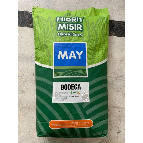 MAY BODEGA SILAJLIK MISIR TOHUMU