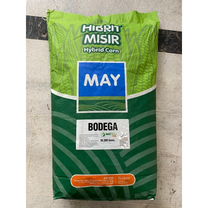 MAY BODEGA SILAJLIK MISIR TOHUMU