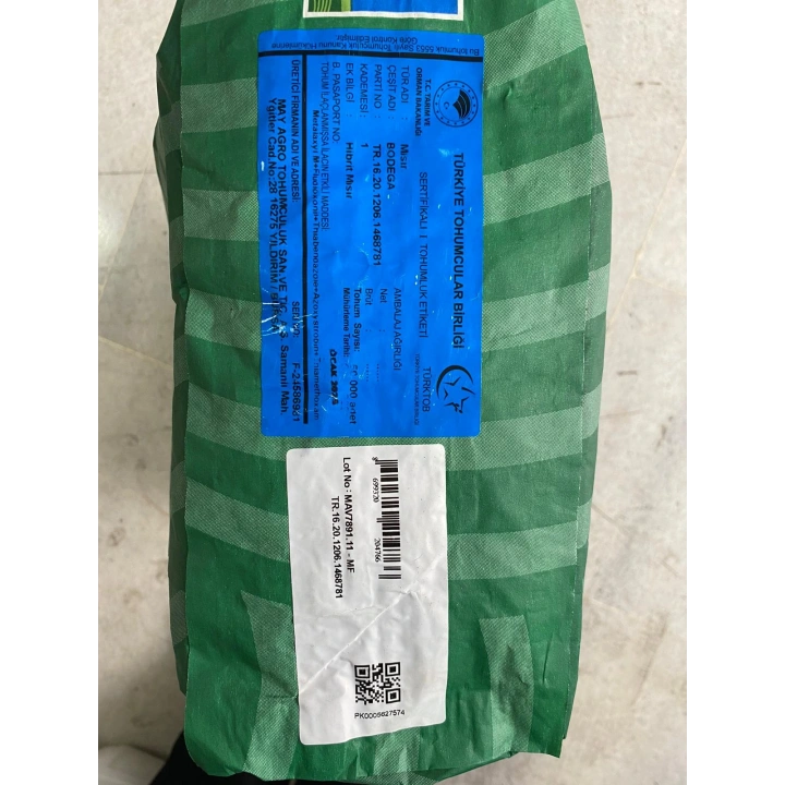 MAY BODEGA SILAJLIK MISIR TOHUMU