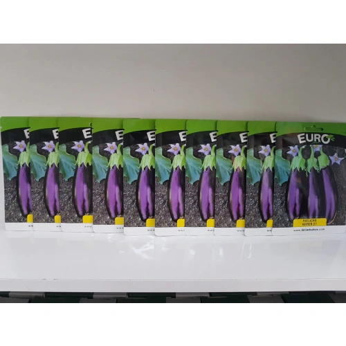 10 adet kemer patlıcan tohumu