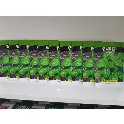 10 adet reyhan yeşil fesleğen tohumu