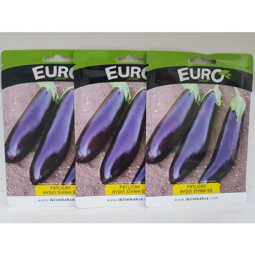 3 adet aydın siyahı patlıcan tohumu