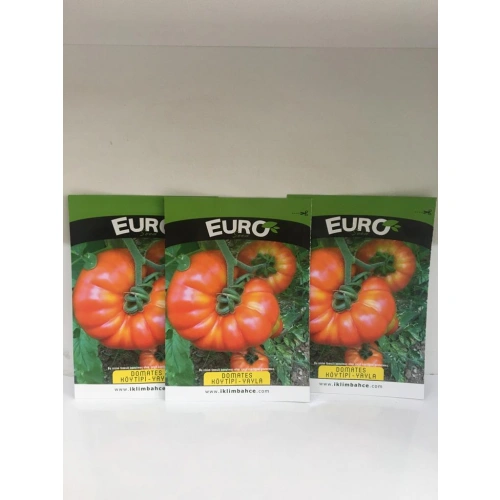 3 adet köy tipi domates tohumu