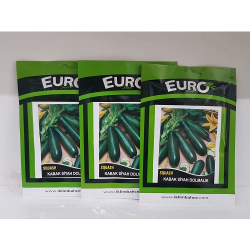 3 adet siyah dolmalık kabak