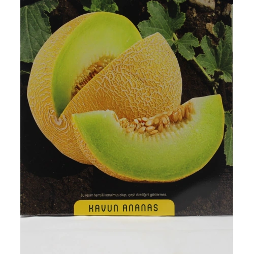 Ananas Kavun Tohumu 1 paket