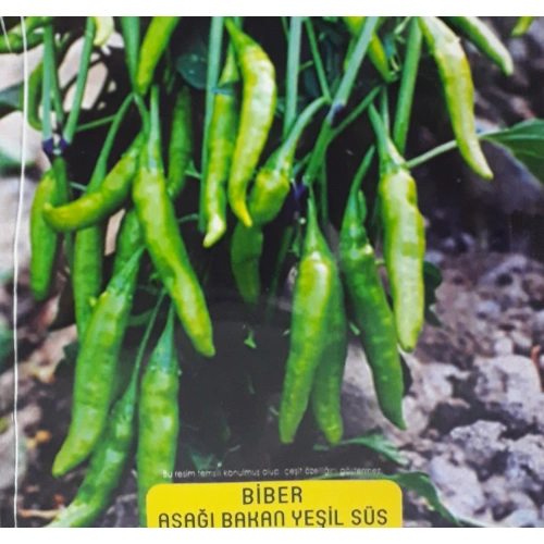 Aşağı Bakan Cin Süs Biber 1 paket