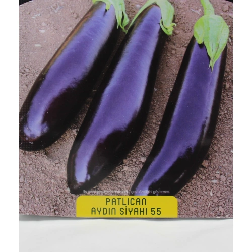 Aydın Siyahı Patlıcan Tohumu 1 paket
