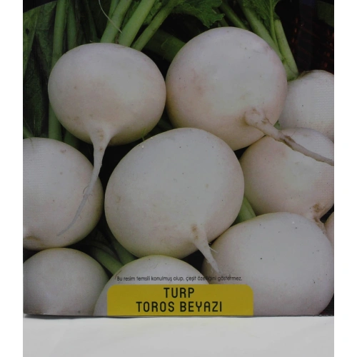 Beyaz Turp Tohumu 1 paket