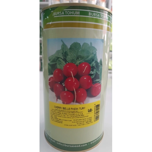 Bursa Tohum Cherry Belle Fındık Turp Tohumu 500 Gr
