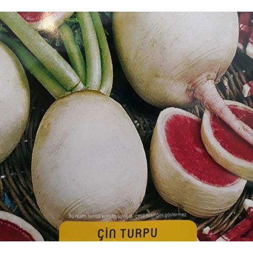 Çin Turpu Tohumu 1 paket