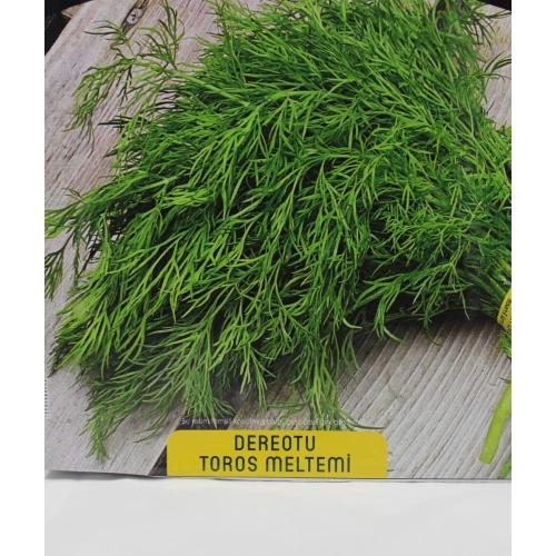 Dereotu Tohumu 1 paket