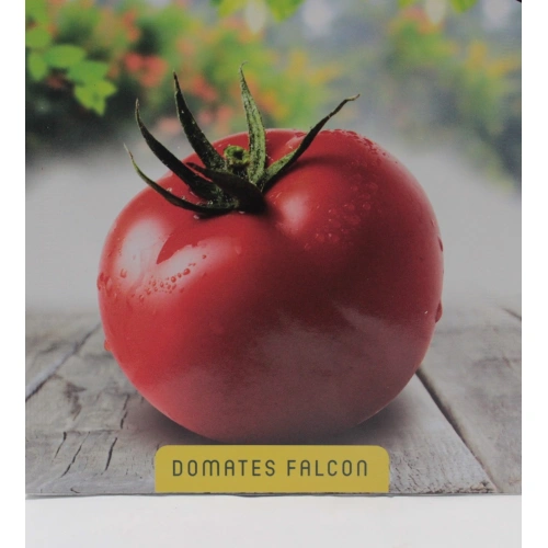 Domates Falcon Tohumu 1 paket