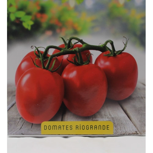 Domates Rio Grande Tohumu 1 paket