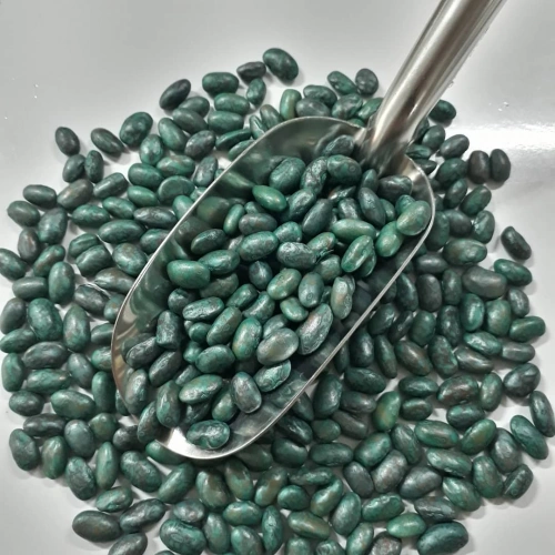 Fasulye Edanaz (Sarıkız Tipi) Tohumu 1 kg