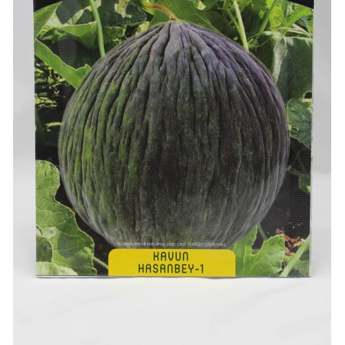 Hasanbey Kavun Tohumu 1 paket